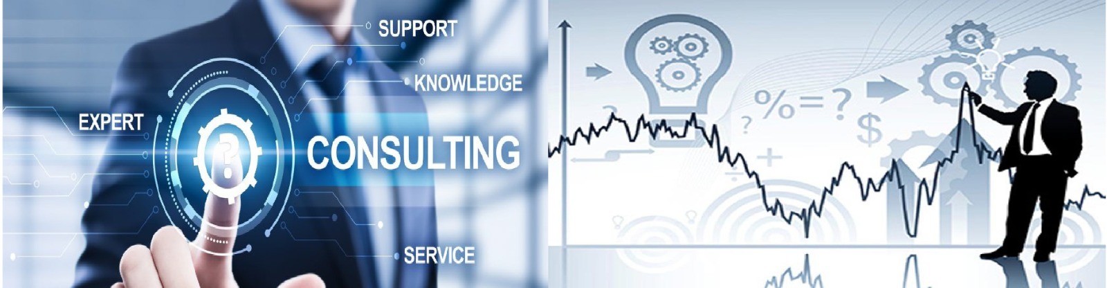 الاستشارات الادراية والمالية والفنية