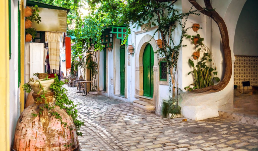 Training center in Tunisia